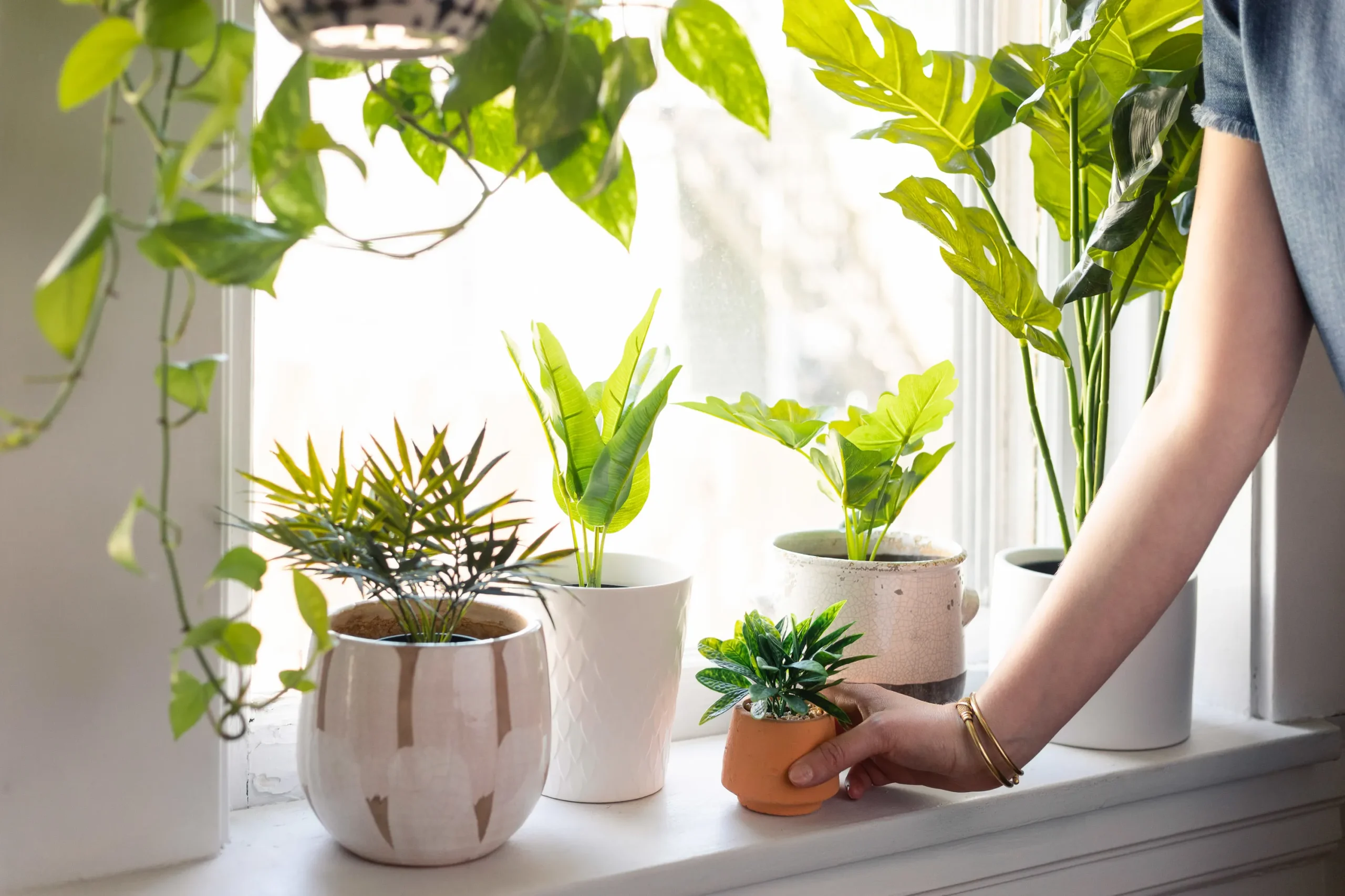 Woman placing a houseplant on a table while decorating her rental apartment to make it feel like home.